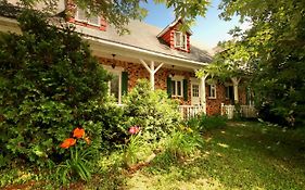 Vieille Maison Rustique Espace Interessant